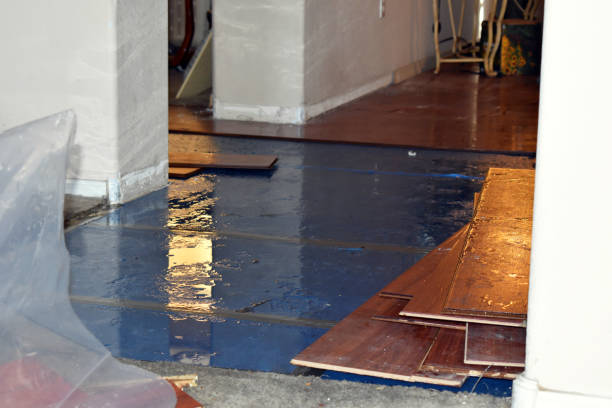 Professional Water Damage Restoration technician working in Fairview, GA